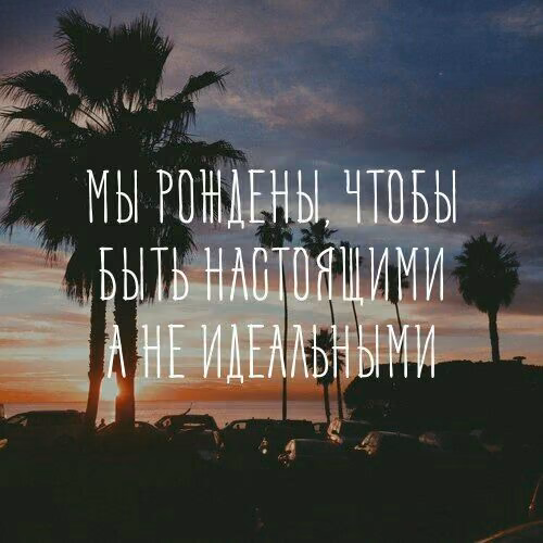 54246deddfcadb7c421ca10cc65f476d.avif