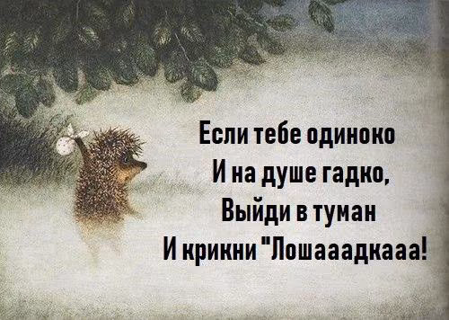 542910669c371c9b024c5c939b18ad92.jpg