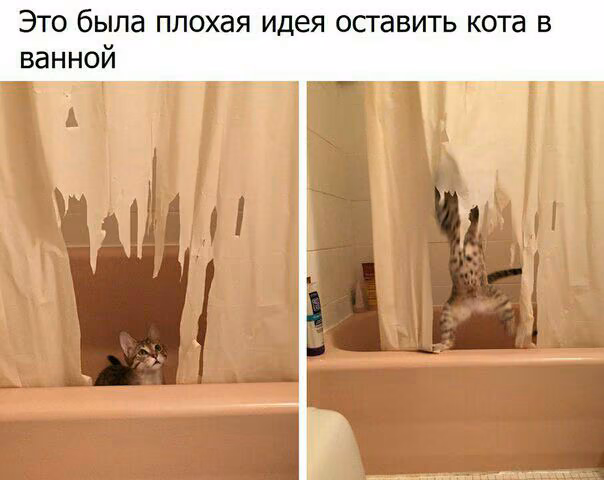 543413c92abfa30e03bb4c9594eb22f8.avif