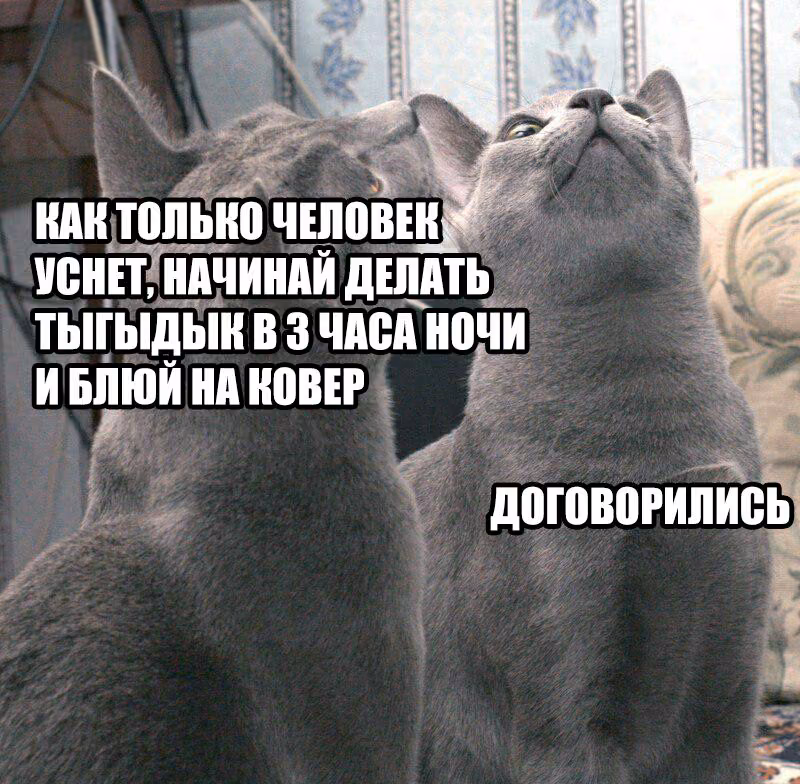 543727791e41740c048627384f211980.avif