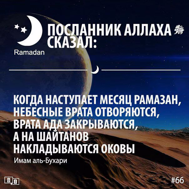544630ce8414d9b54fa8889164846684.avif