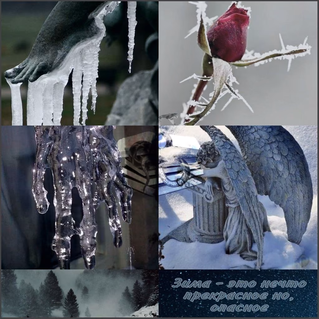 5446837e41f12d2af04876dfac67f4d5.jpg