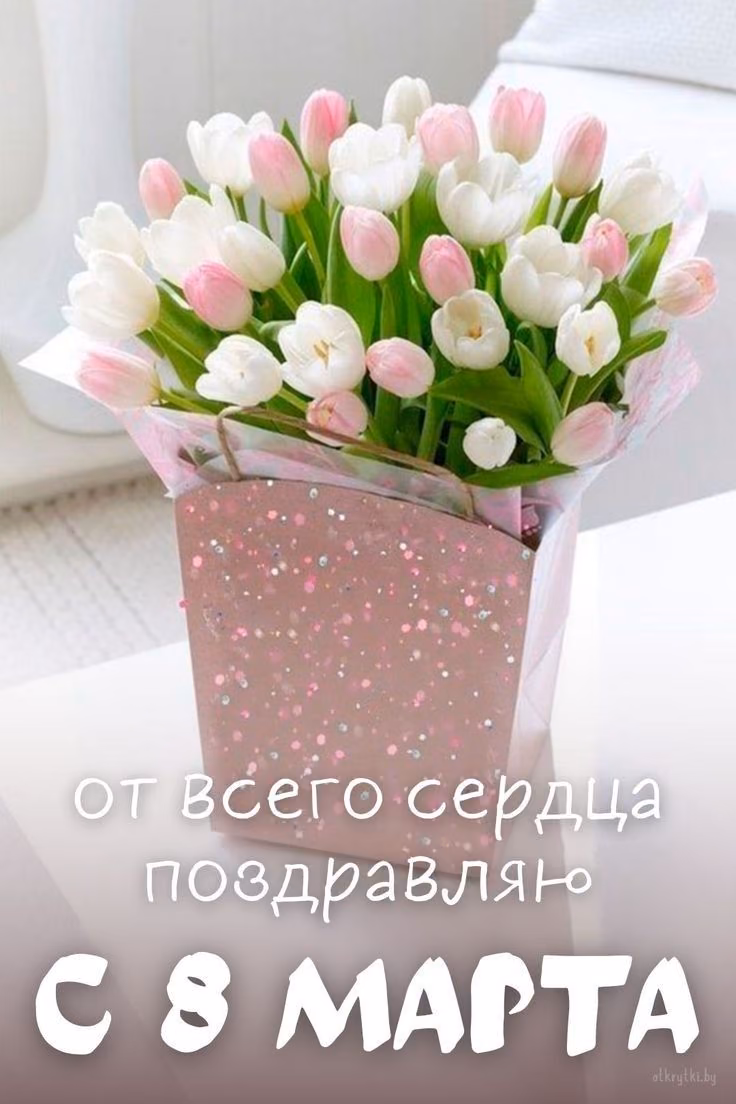547035ccaa77ef9f58266b0f2c618827.jpg