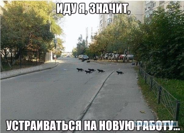 54763d539e40c42d2323793f349defcb.avif