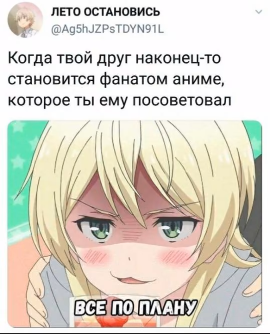 5488678bdff8a4a7c553a3543b1b328c.avif