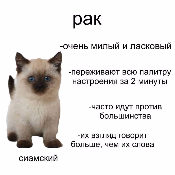 5493bfdf3bb81dbaf2656f3a834d5829.jpg
