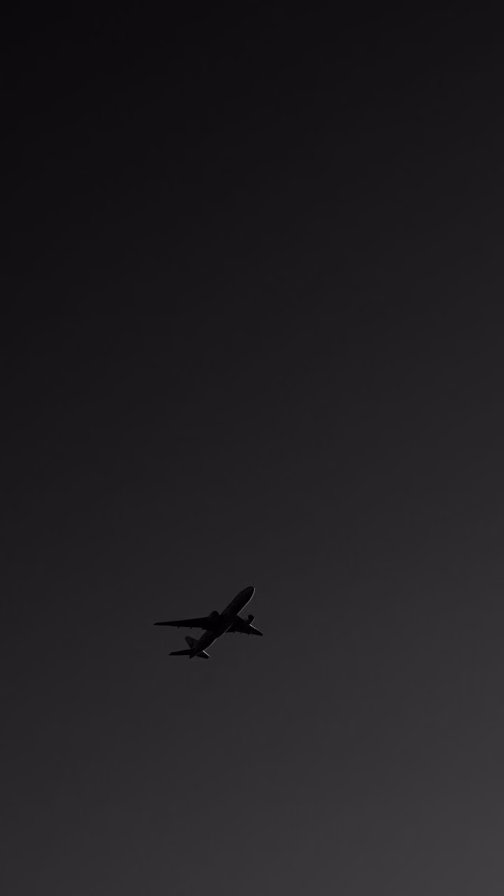 549495fbd0aba4711c29474e60fb0e19.jpg