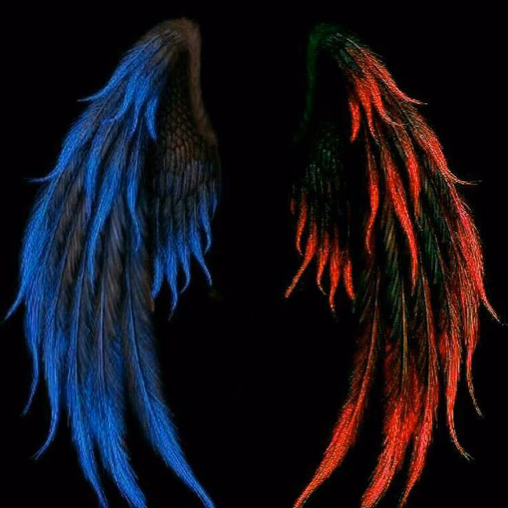 5496c4c3415ef65e96733c510d44e7bc.avif