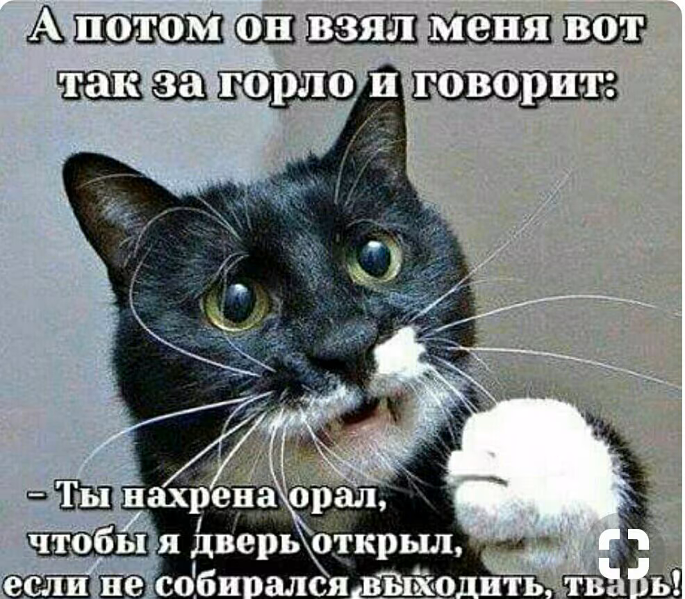 549875b71862501d1a675836385fa1dd.jpg