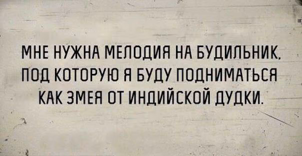 549a055d636d6faa59578df9548f3eb1.avif