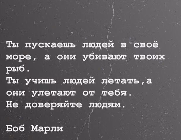 549d52766528efbb48ce735c8171f2ac.avif