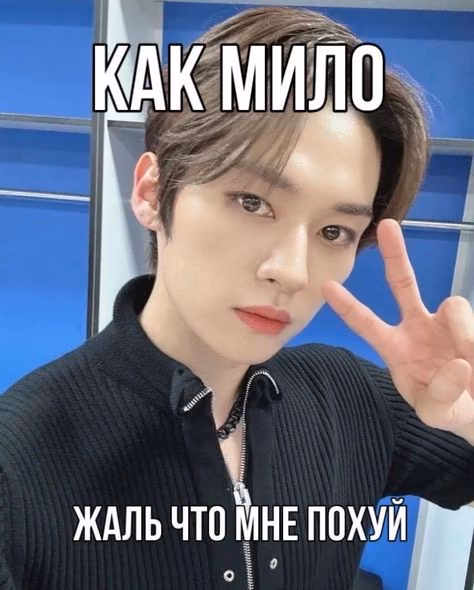 54a11ecbd8e6ebd644a6a57a132b902c.avif