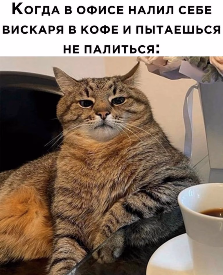 54ada413768e00acb4b609e0a9be131f.jpg