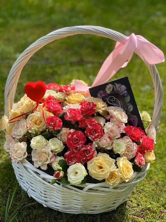 54bfb7cd6aa75e03b75d02c10d169ecd.avif