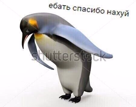 54e91d0df9a63b43bc19b60e29450d9b.jpg