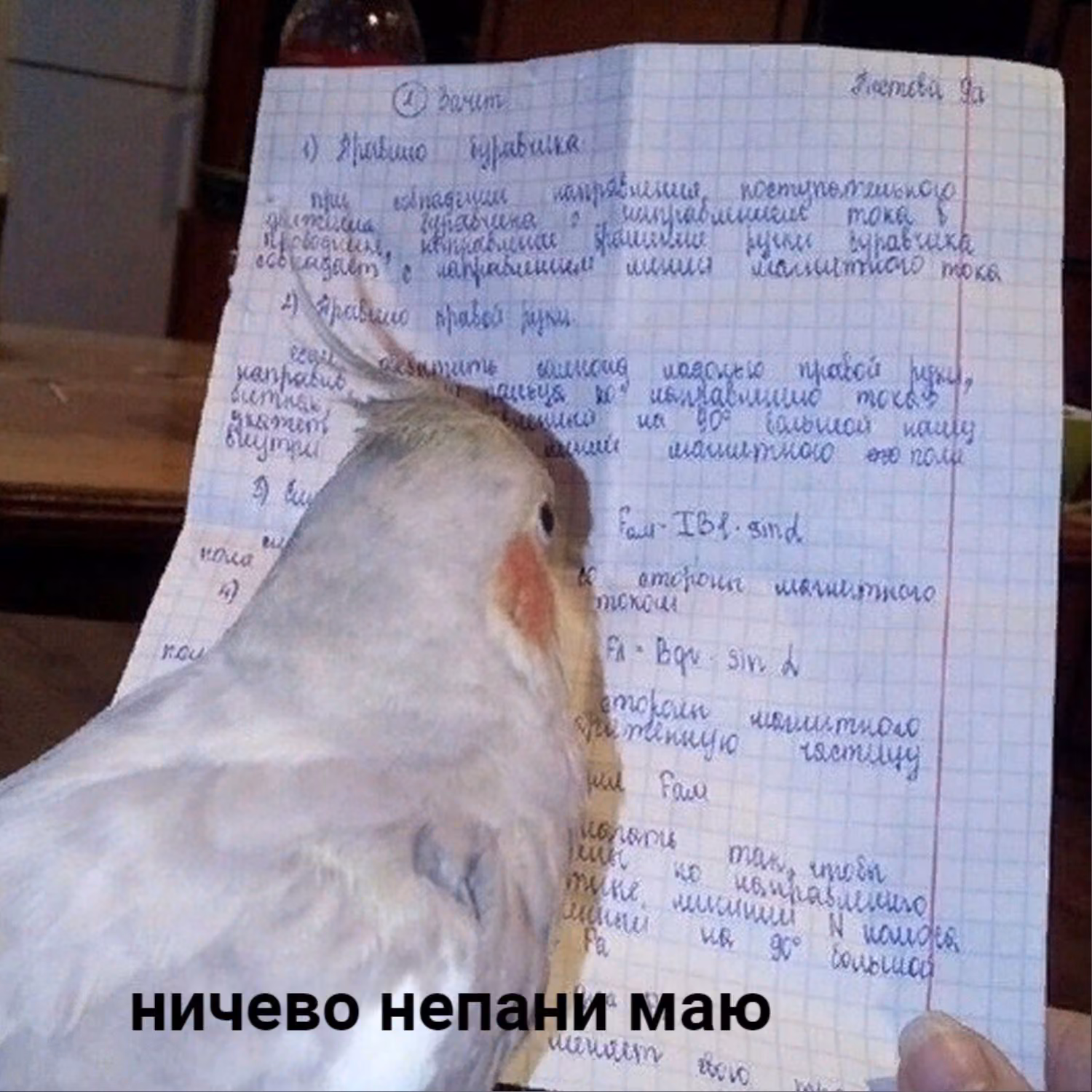 54f0e176c55966a664ef90f69beb4574.avif