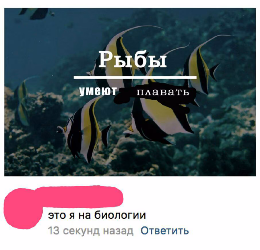 54f105e5c89bcc4a32f2bdd9ea08e294.avif