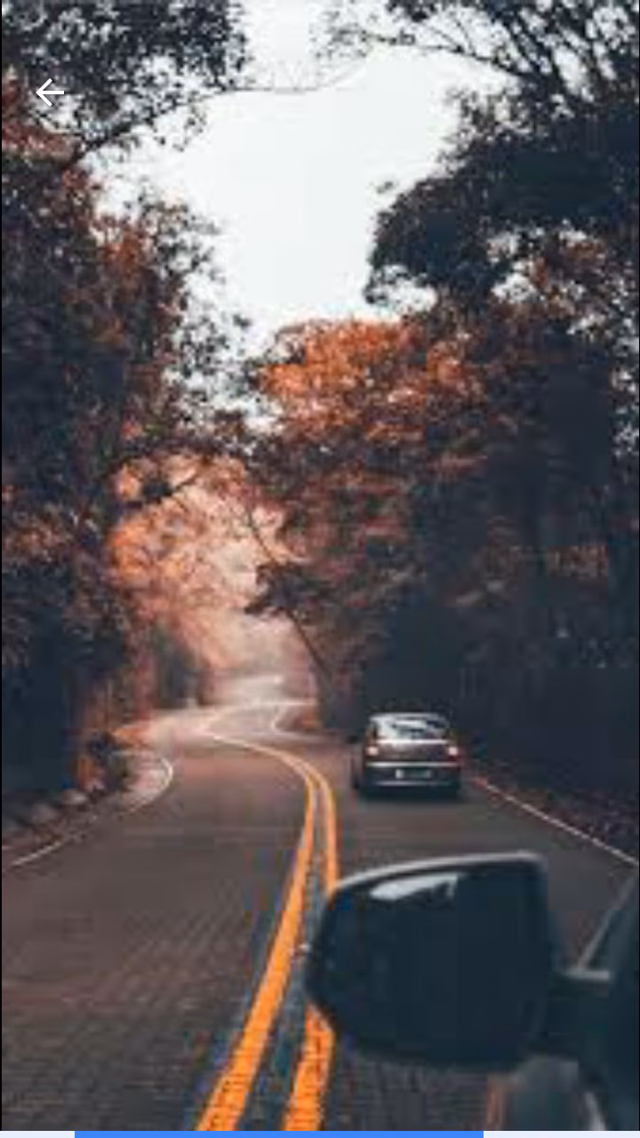 54f18ad74653ae03113e8a1b043e4c33.jpg