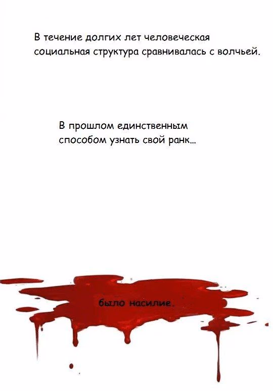 54f964755901fc36a7a61c2b34be399d.jpg