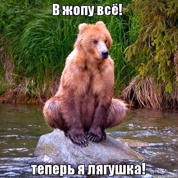 54fd01274b25b26862b14463eed7f213.avif