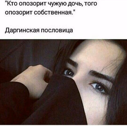 55073f6192e88aef5f45dbfb4fd3be88.jpg