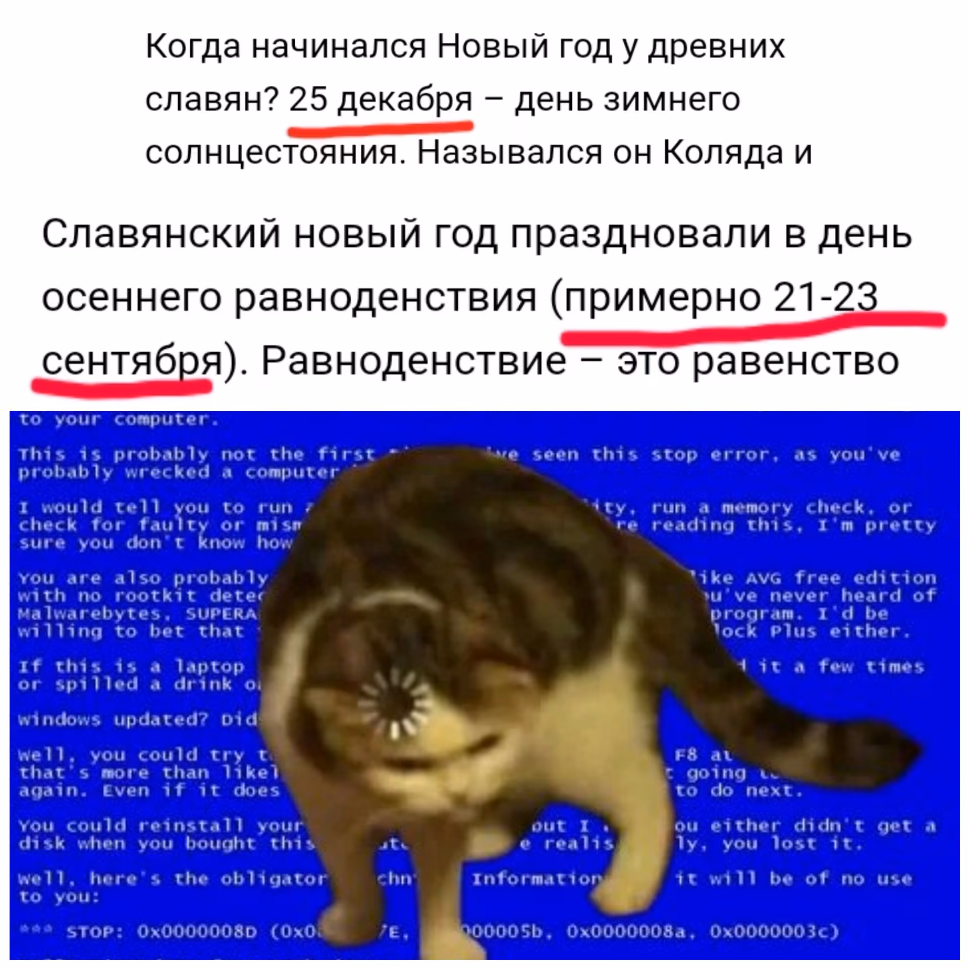 55107c8df2b2ec05e333770b5026e6af.avif