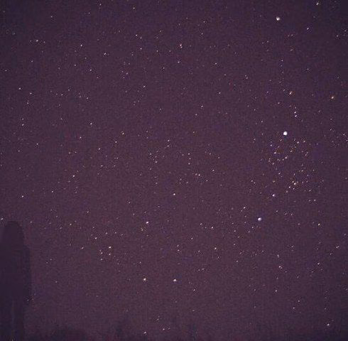 552394c4224da043eac77a3b04318454.jpg