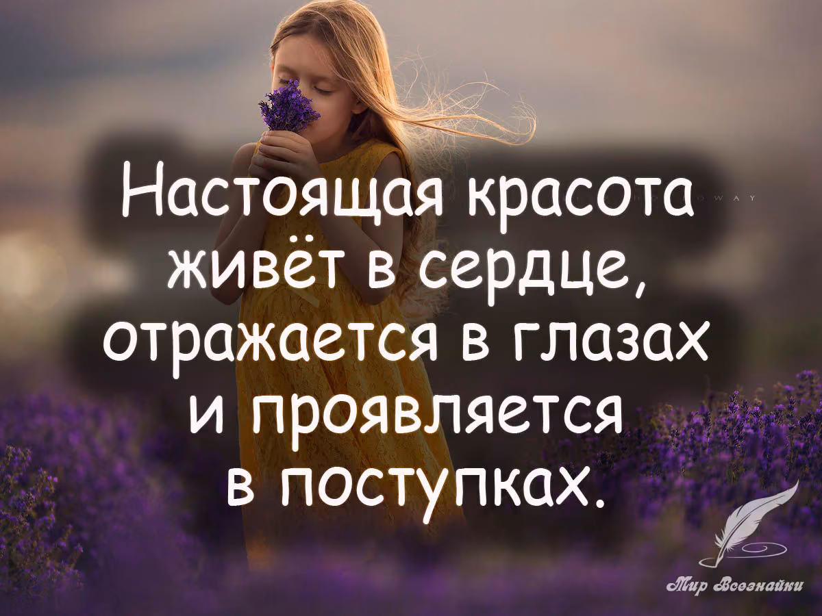 5531df8f0ce26c292c414f668a736bc8.avif