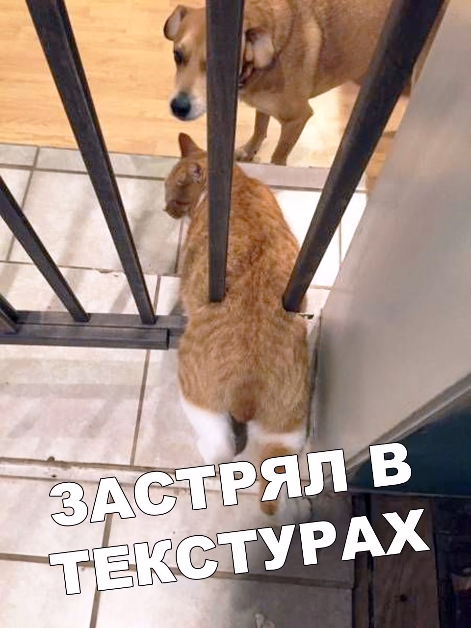 5539f6fe189fe10fbff302c35f75658c.jpg
