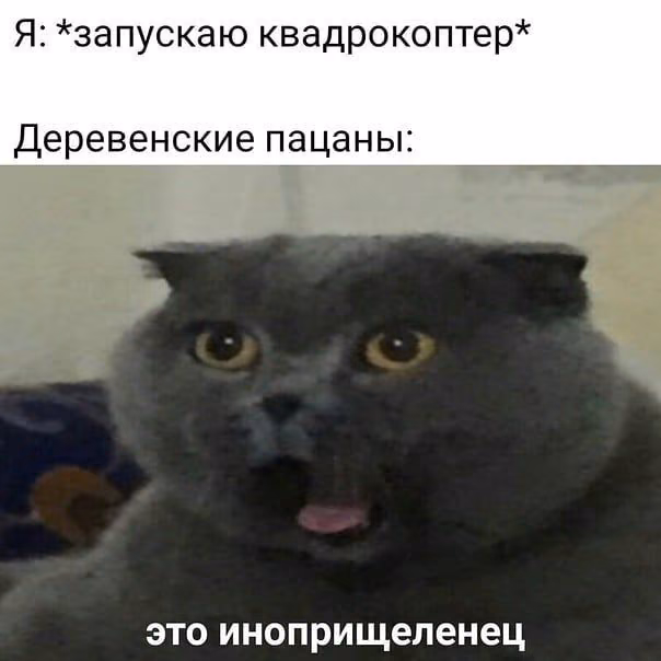 5539fc997ce3c763e4e71d2e16509729.jpg
