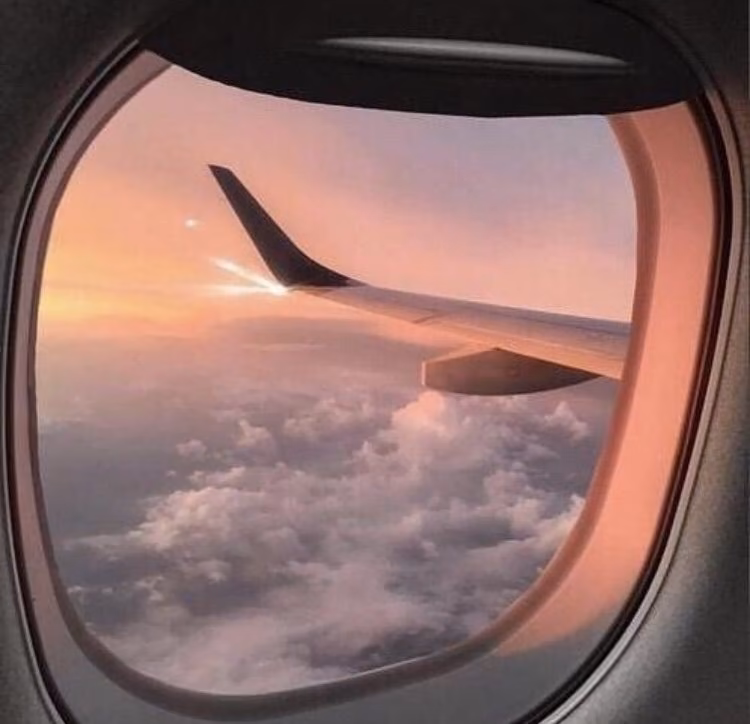 553a825c38f7840d8aa79b0eb5f83c55.avif