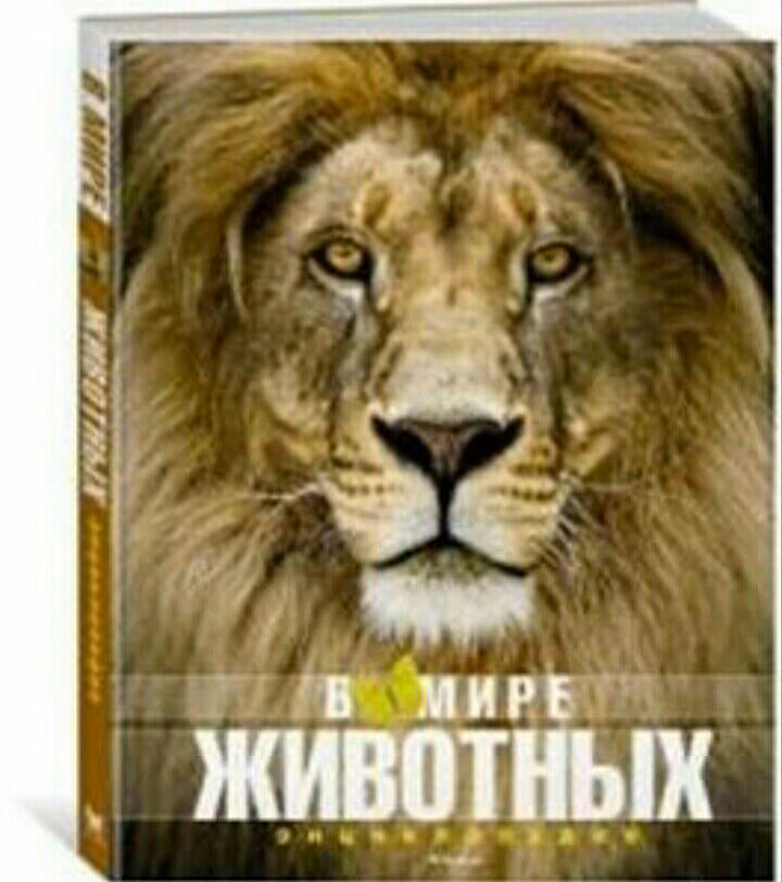553f43b1f3e8943c456b7dbb425258ed.avif