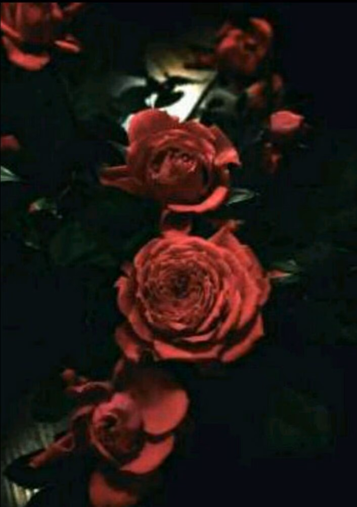 5545083bf98d9dae6ea1c0ca1e3dd35e.jpg