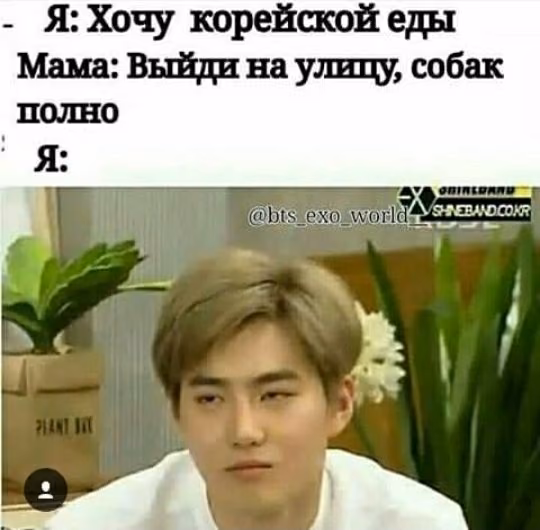 554ca311d7675d85efd307361e8ee21d.avif