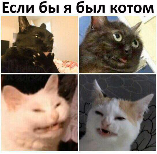 555951fddfd367e39cdba15eb7e1b8d2.jpg
