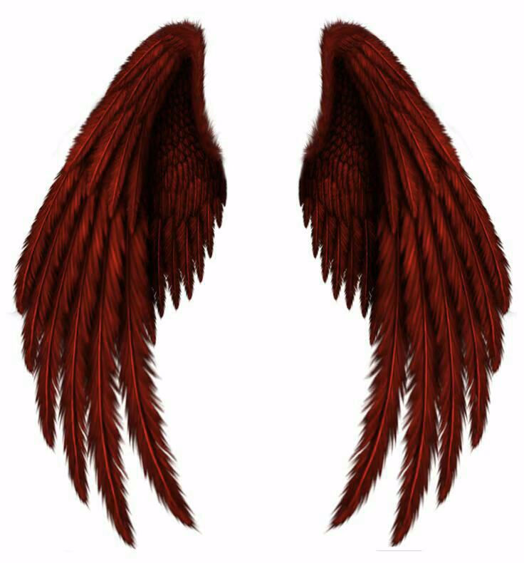 55854ecc57cd55e5137b10ebbaf12485.avif