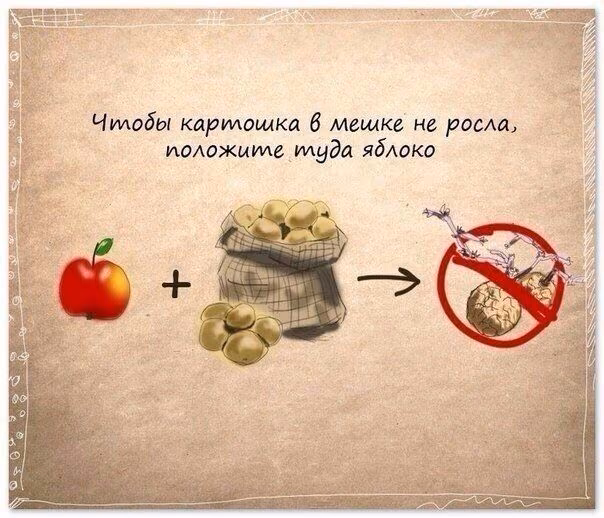 55b503571d477b3bb688ae2ea0e81099.avif