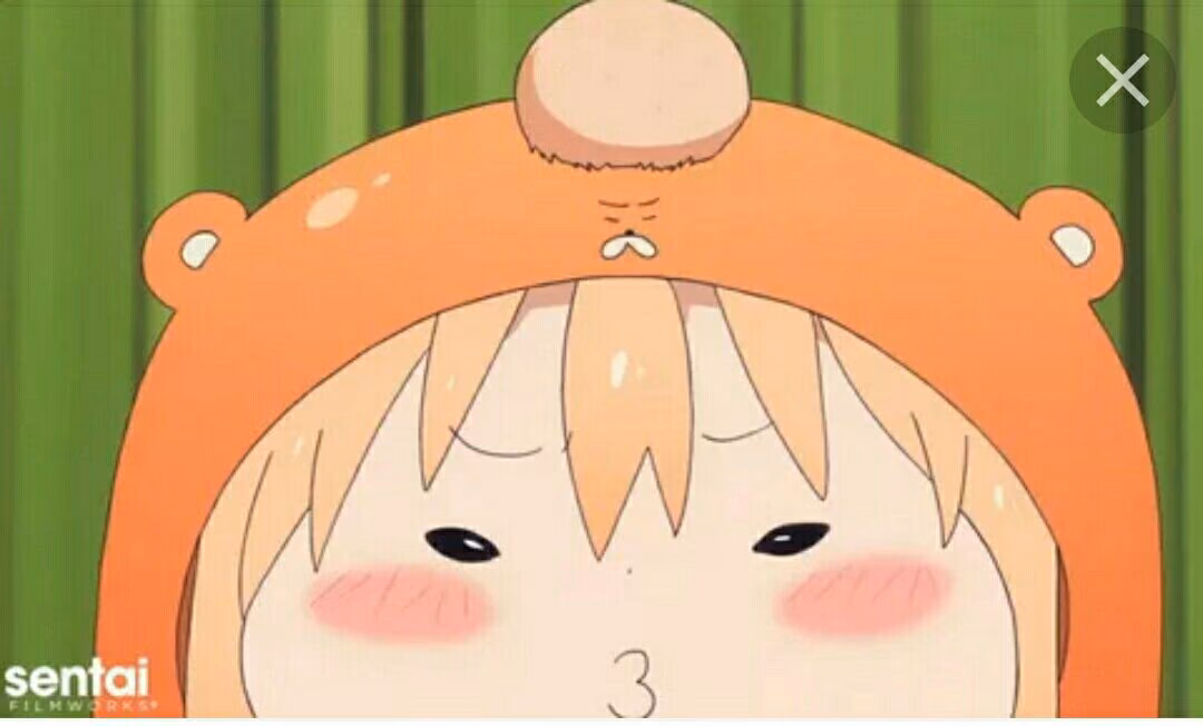 55c9a997d2b5fed4d39022e73e19b774.avif