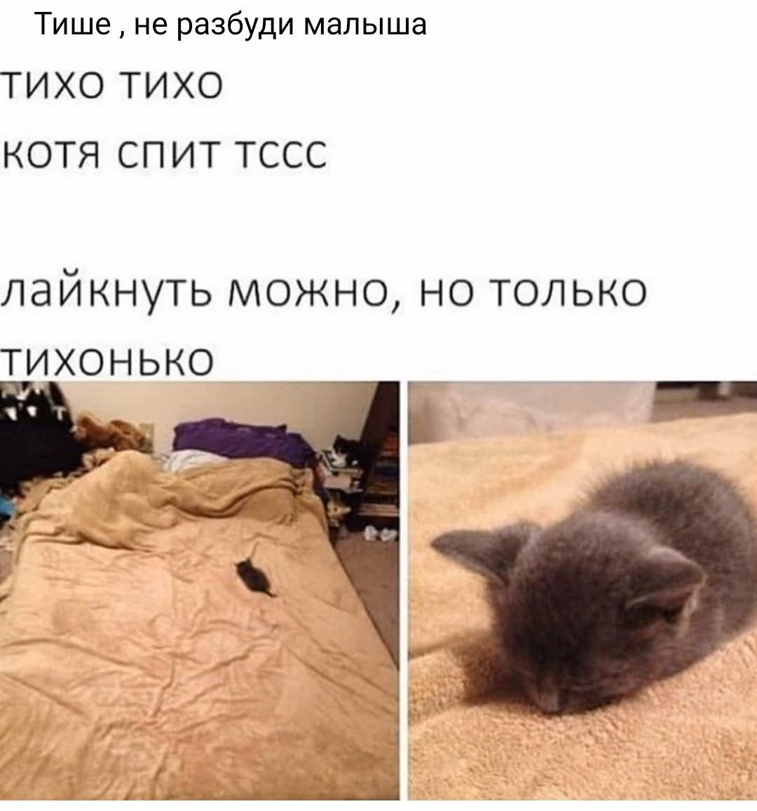 55cc4cb4d78d5385d6c17181cb5de0ed.avif