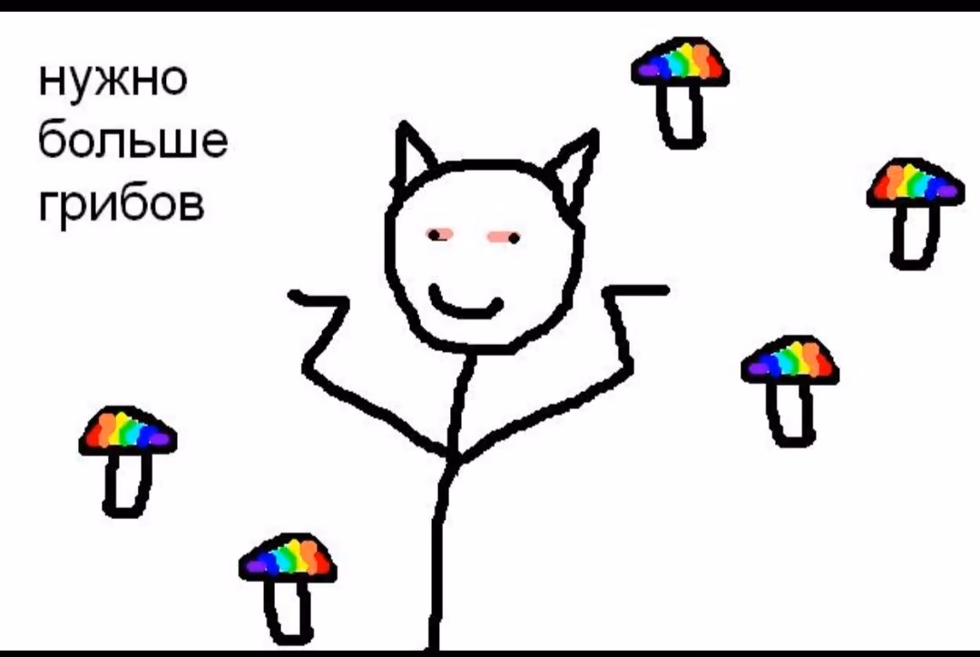 55cd26980ee4c14c7a9d566c2cb65aeb.avif