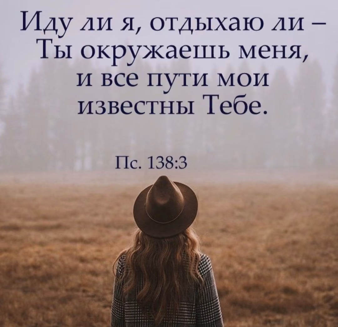 55d96890f937a494a8b569be248cebf9.jpg