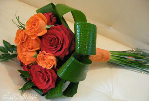 55da2a77a2fcb9a959c9180d53b2676c.jpg