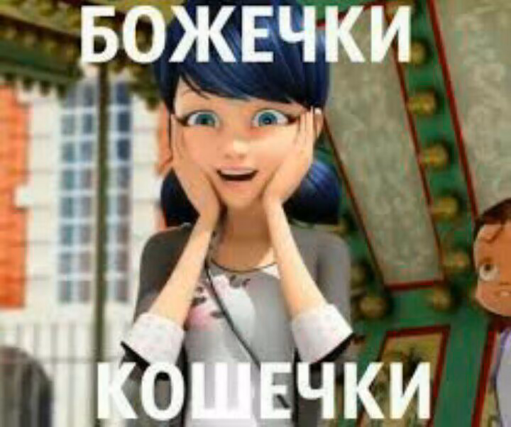 55f266c1d944b884dc34752cd6df328f.avif