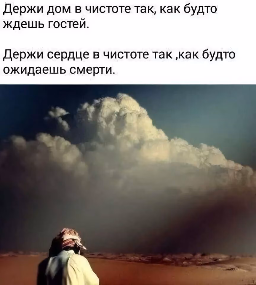 55f2785b41625fff3038ffc93a47fe4b.avif