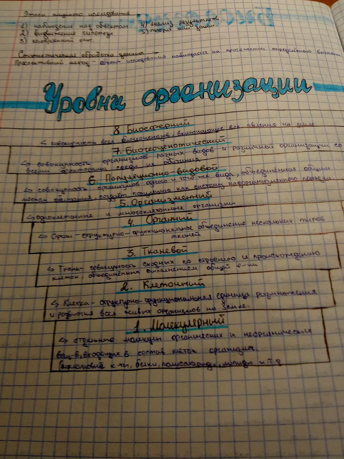 55f40f46f2b237d07791d6fc4e12d063.jpg