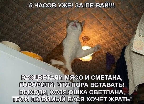 55fa39e865a8c5b271fa81a63fbdfff3.avif