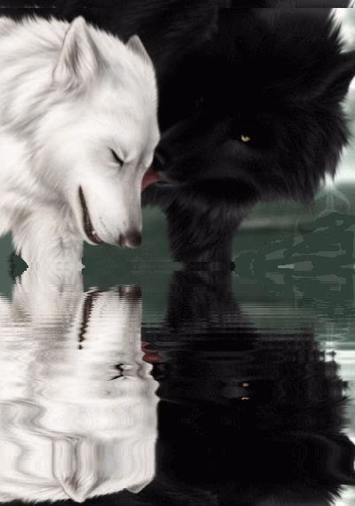 55facf21764e2e42ed2e4bb7bbf0b0a5.avif