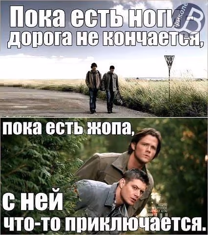 5609fdd141cb2ceb0c0bf1bfe99adc99.avif