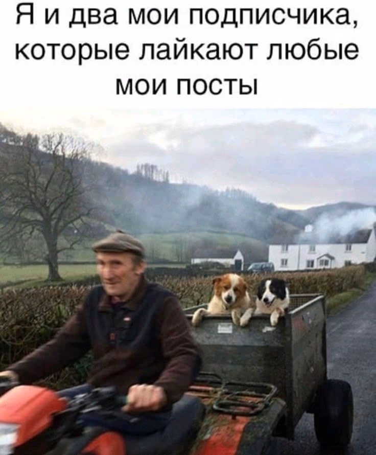 561371d3b69097c02e03af97aea2d560.avif