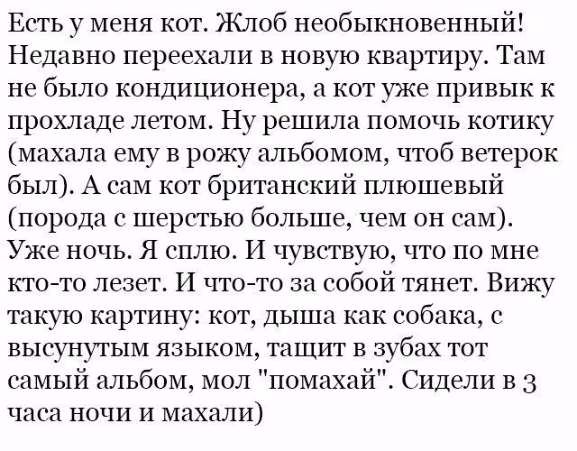 5643095e0ce119127fac3cbae20b7bbe.avif